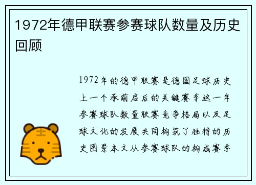 1972年德甲联赛参赛球队数量及历史回顾
